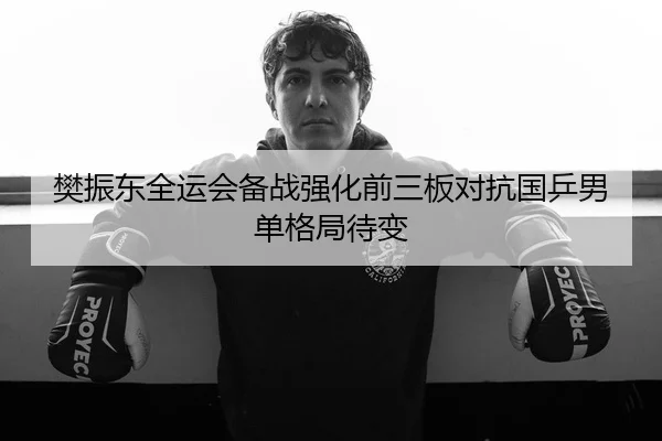 樊振东全运会备战强化前三板对抗国乒男单格局待变